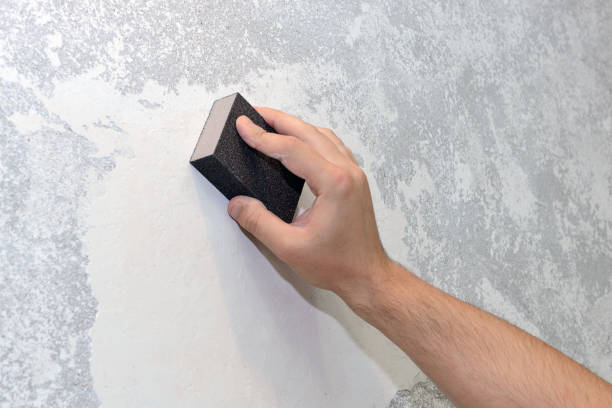 Best Basement Mold Removal  in Ortonville, MN
