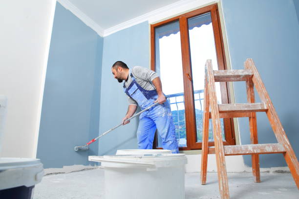 Best Mold Damage Restoration  in Ortonville, MN