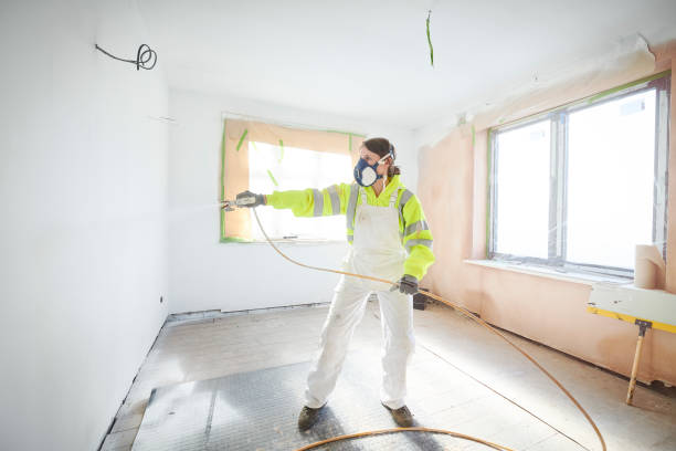 Asbestos and Lead Testing During Mold Inspection in Ortonville, MN