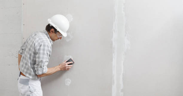 Best Black Mold Removal  in Ortonville, MN