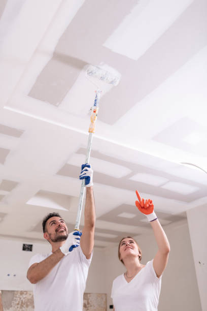  Ortonville, MN Mold Removal Pros