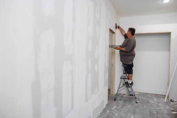Mold Odor Removal Services in Ortonville, MN
