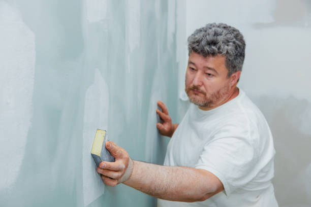 Best Attic Mold Removal  in Ortonville, MN