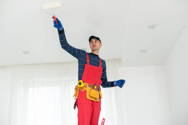 Best HVAC Mold Inspection and Cleaning  in Ortonville, MN