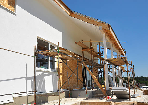 Professional Mold Removal in Ortonville, MN
