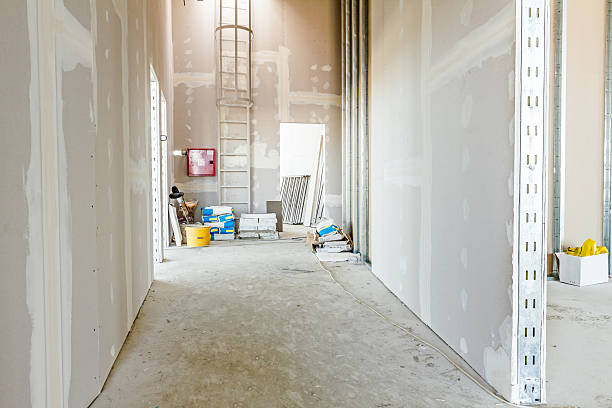 Best Crawl Space Mold Remediation  in Ortonville, MN