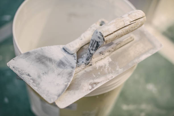 Best Post-Construction Mold Inspection  in Ortonville, MN