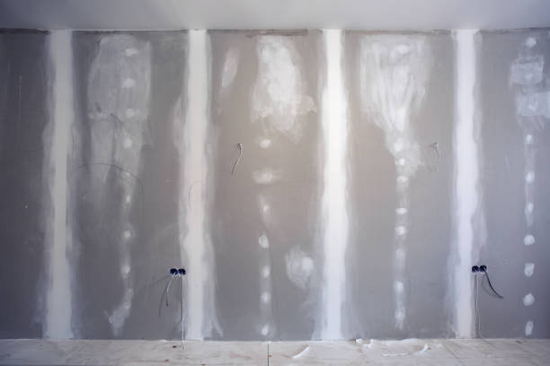 Best Mold Prevention Services  in Ortonville, MN